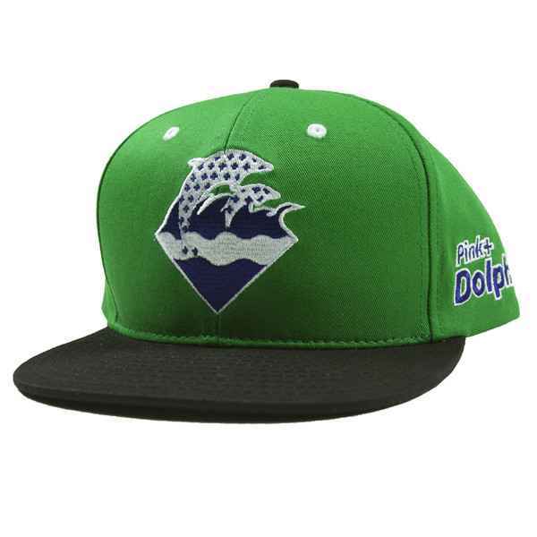 LTD 420 Waves Snapback in Grass