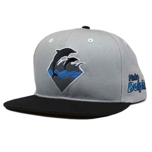 Holiday Waves Snapback in Grey