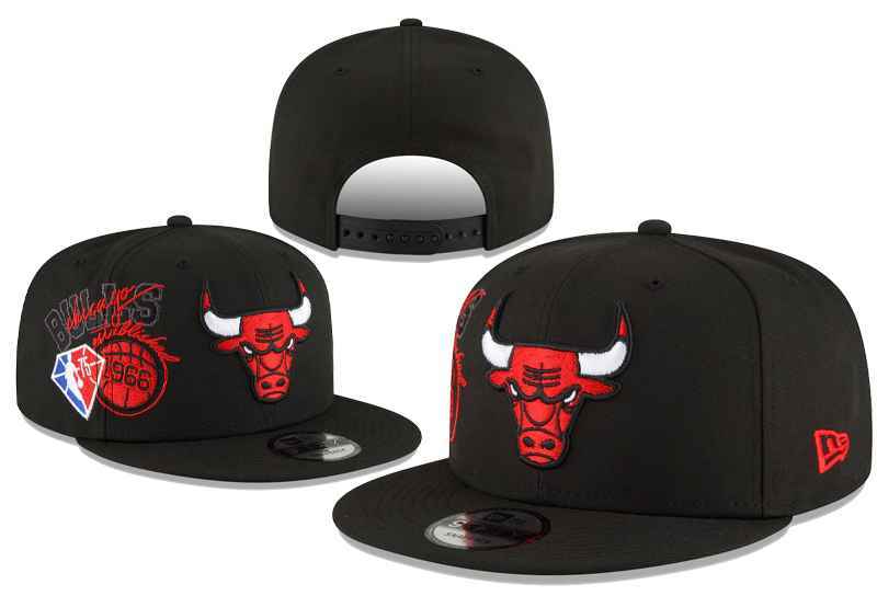 NBA Chicago Bulls Snapback  芝加哥公牛队   