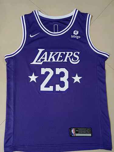 Lakers 23 James Purple 22-23 Season City Edition Jersey