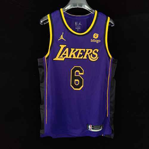 AU Player Edition 23 Lakers annunciano il ricamo viola della maglia da basket 6 James