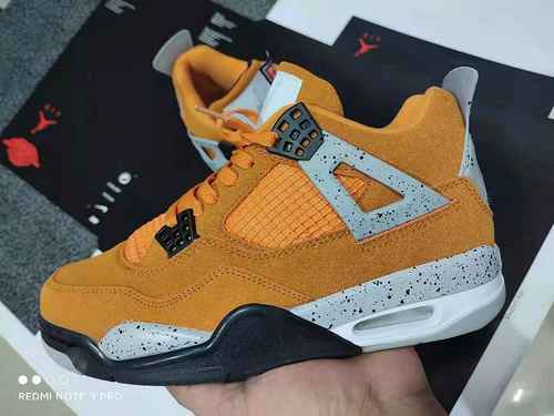 Nuova combinazione di colori Jordan 4 3647