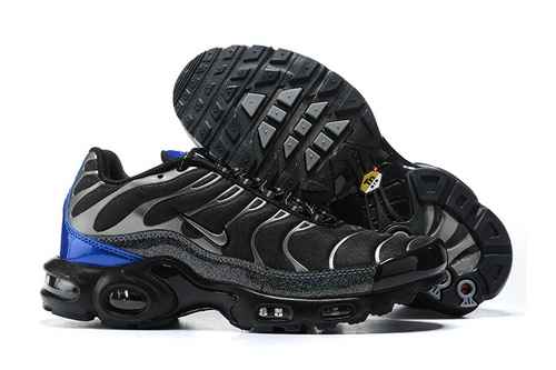 Nike Air Max Plus CW2646001 4046