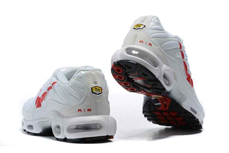 Nike Air Max Plus CU3454-100 40-46 (1).jpg