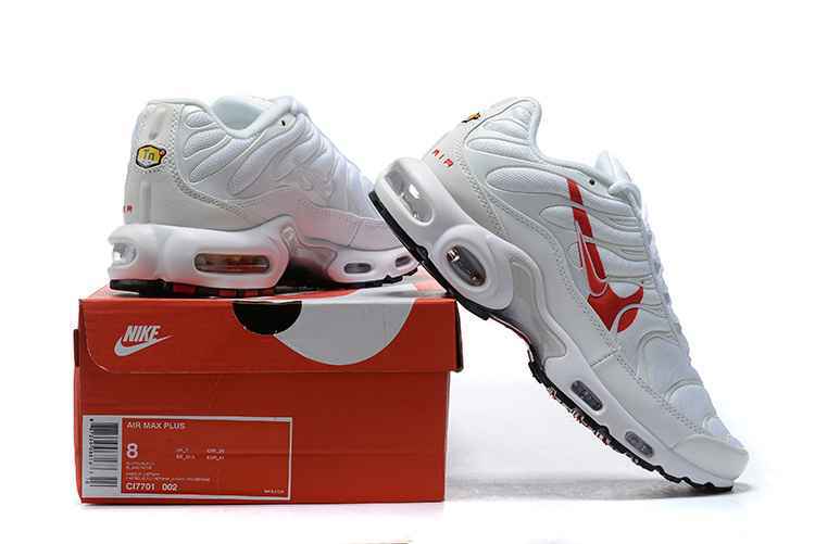 Nike Air Max Plus CU3454-100 40-46 (6).jpg