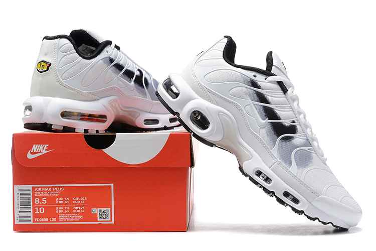 Nike Air Max Plus FD0658-100 40-46 (1).jpg