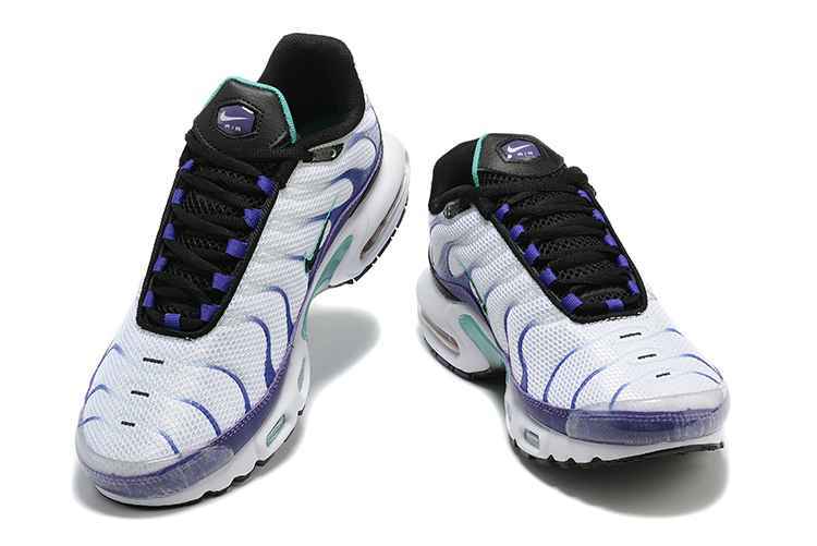 Nike Air Max Plus “Grape”DM0032-100 40-46 (1).jpg