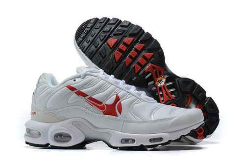 Nike Air Max Plus CU3454100 4046