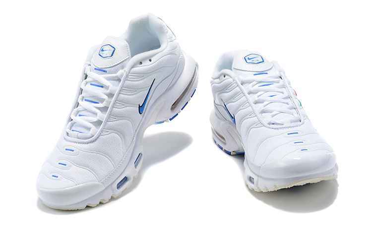 Nike Air Max Plus DN6994-100 40-46 (3).jpg