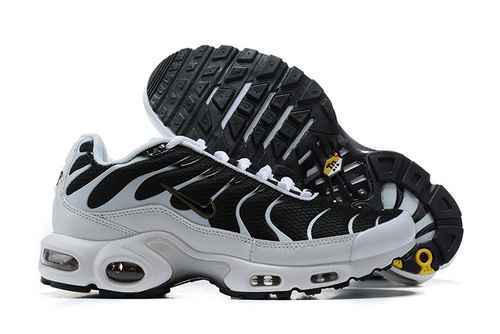 Nike Air Max Plus CT1094102 4046