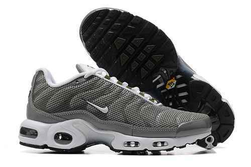 Nike Air Max Plus Piatto Peltro DV7665002 4046