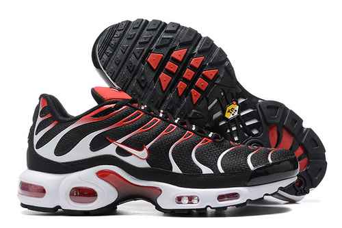 Nike Air Max Plus DM0032004 4046