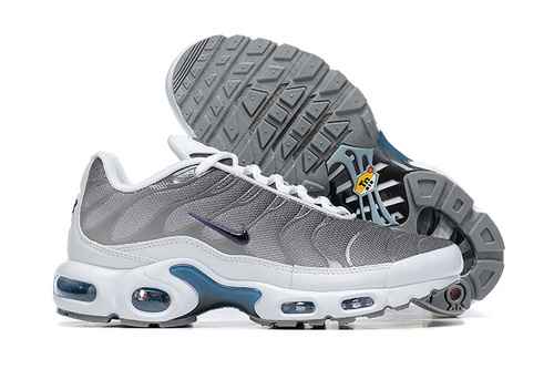 Nike Air Max Plus quotFlat Pewterquot DV7665002 4046