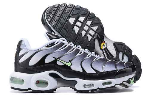 Nike Air Max Plus DH4776100 4046