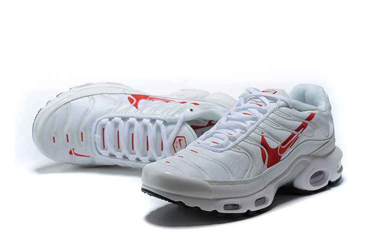 Nike Air Max Plus CU3454-100 40-46 (3).jpg