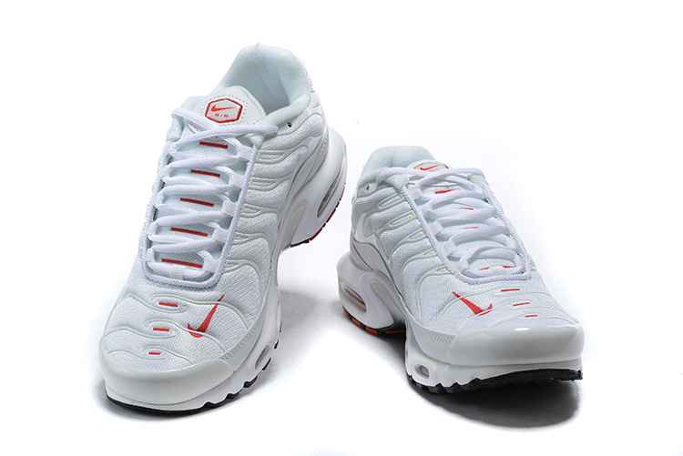 Nike Air Max Plus CU3454-100 40-46 (2).jpg