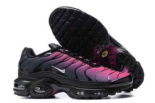 Nike Air Max Plus FJ5481010 4046