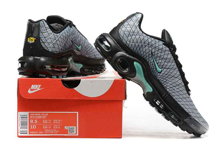 Nike Air Max Plus FB3351-001 40-46 (4).jpg