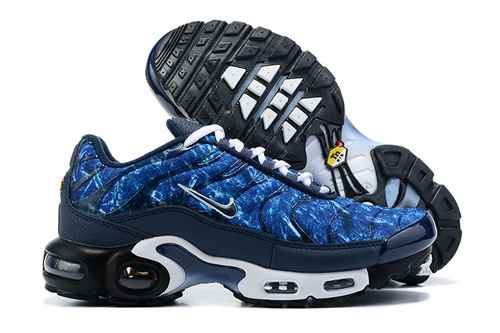 Nike Air Max Plus DO6384400 4046