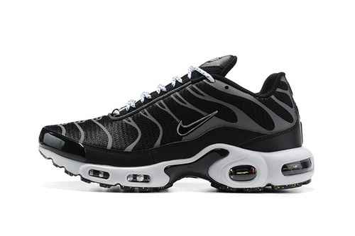 Nike Air Max Plus DM2466001 4046