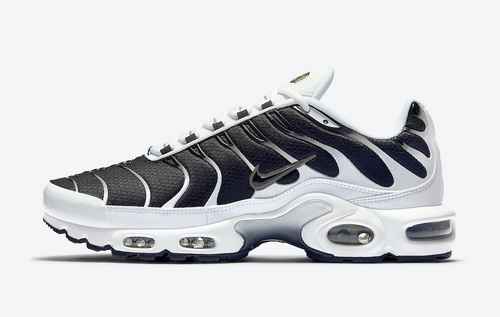 Nike Air Max Plus CT1094102 4046