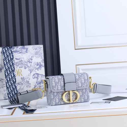 Borsa a tracolla DIOR realizzata in materiale di tela importato borsa regalo di alta qualità con con